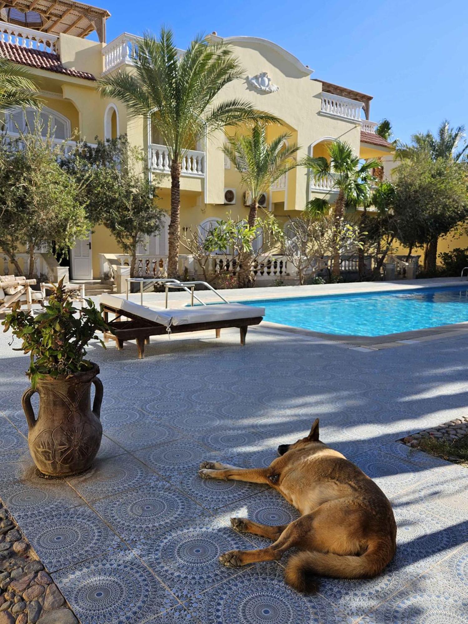 Villa Shahrazad Hurghada Exterior photo